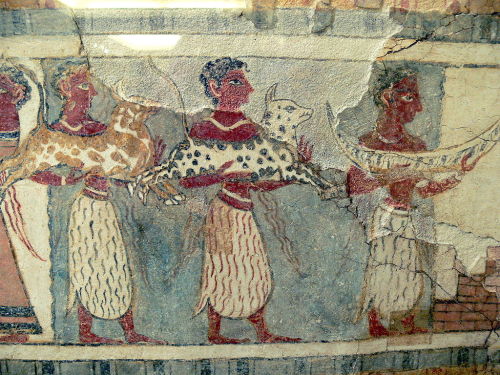 my-name-is-apollo:last-of-the-romans:Minoan Frescoes from the Palace of Knossos.Beauty!