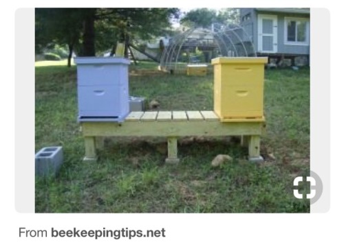 Brainstorming bee hive stand ideas&hellip;.