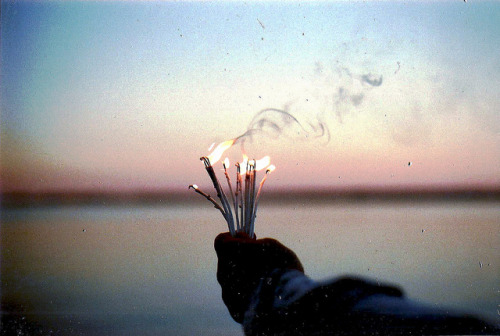 lafleurdesmurailles:  untitled by [transatlanticism] on Flickr.