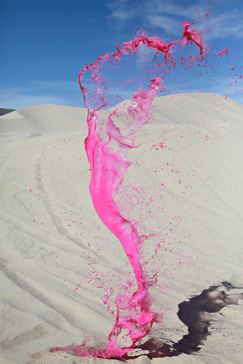 asylum-art-2:Colorful Liquid Splashes by Floto+Warner Studio“Colourant” is an impressive series by c