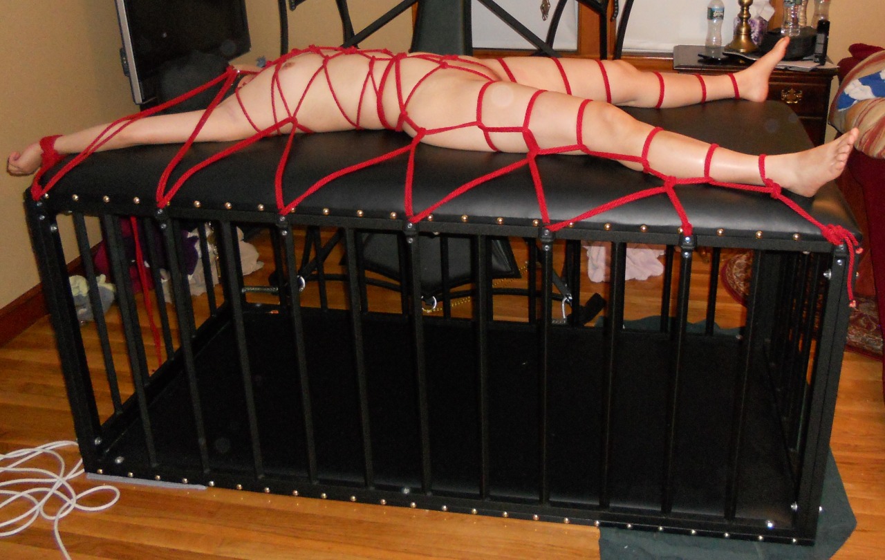 darkskyfire:  Having some bondage fun with Honey Bee and my new cage :) 