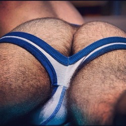 Oliviero 4 hairy!