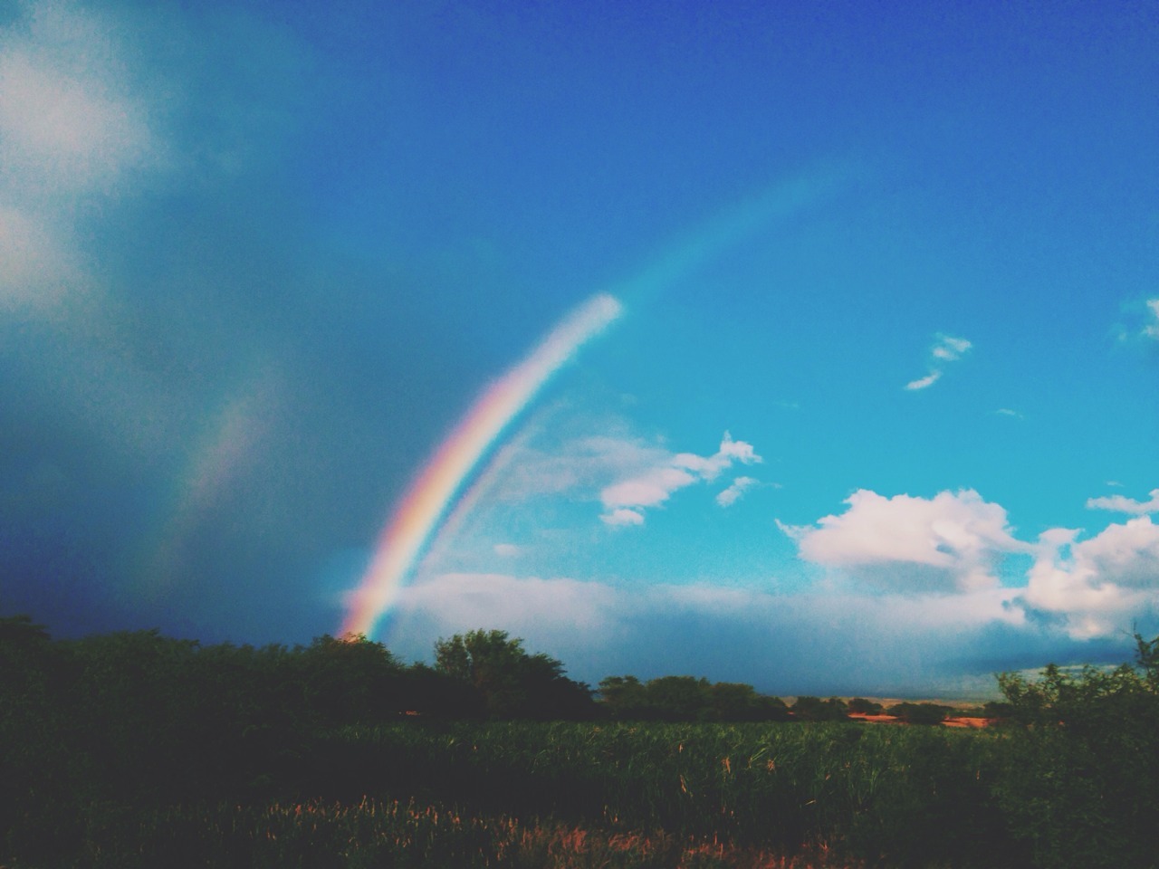 stfukarla:  ♡ i follow everyone back ♡ 