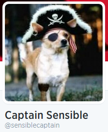 dykevanian:Captain Sensible’s entire internet presence is represented by a tiny dog dressed as a pir