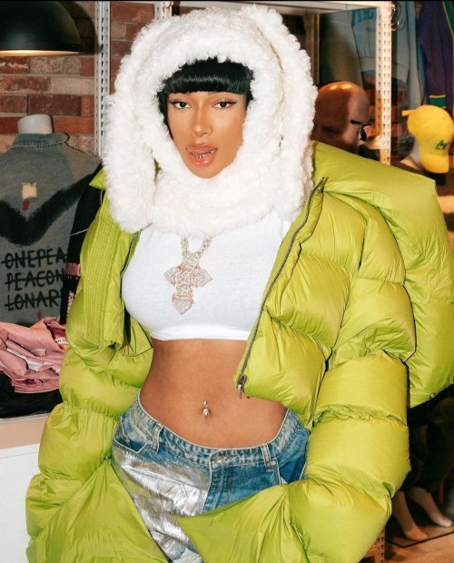The Beautiful Meg Thee Stallion
