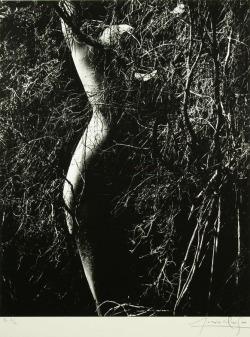 afroui:  Lucien Clergue | Nu de la Foret