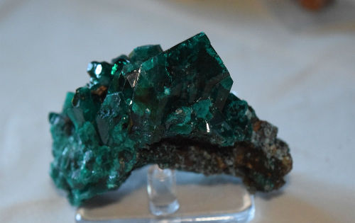 bogglocity:Dioptase from Tsumeb, Namibia. I’ve had this one for a while, but it’s frustratingly diff