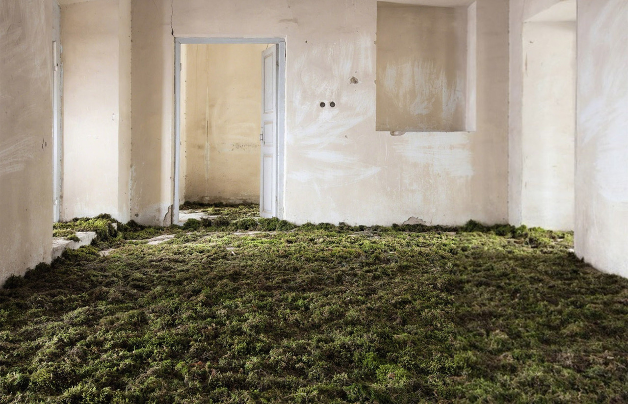 nevver:Landscape architecture, Gohar Dashti