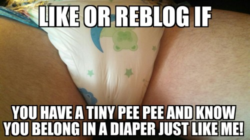 diapered-bottom: A very tiny pee pee. I BELONG IN DIAPERS!