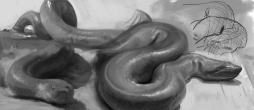 Snake studies for a painting. Trying to figure out how little I can get away with!