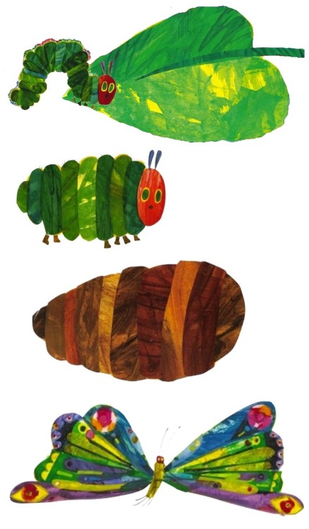 18kgold:do you love the color of The Very Hungry Caterpillar?