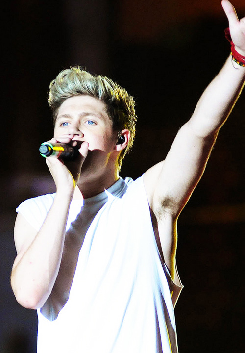 bumblingniall-deactivated202001:  [08/05/14] 