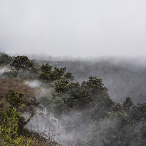 The Steaming Bluff