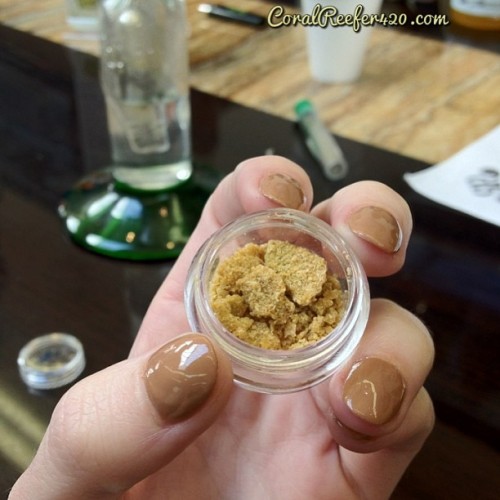 coralreefer420:  Northern Lights, brought out by @veeveeganja today at the #greendoorsf 
