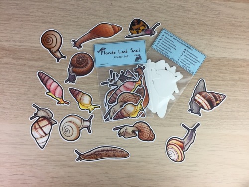 A special Floridian land snail sticker set has been added to my Etsy! All species in this set are ei