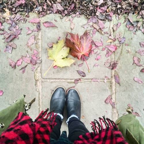Hey Autumn #fwis #autumn #fall #leaves #headingley #leeds #happycolors #endofsummer #ootd #aweekendw