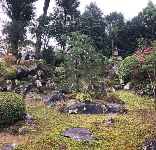 ＼おにわさん更新情報／ ‪[ 滋賀県長浜市 ] 池氏庭園 Ike-shi House&rsquo;s Garden, Nagahama, Shiga の写真・記事を更新しました。 ーー #佐々木源氏 