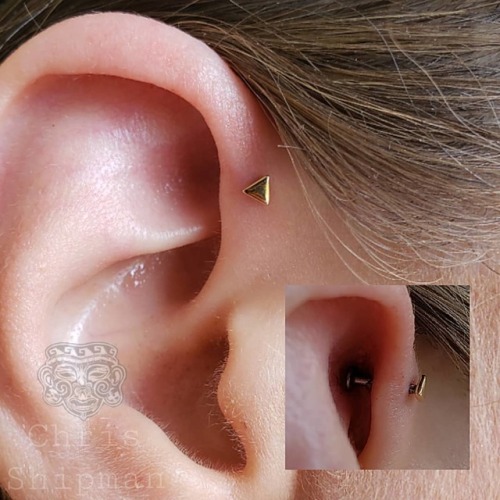 Forward helix piercing with a 14k yellow gold triangle from @leroifinejewelry. Piercing @shamanmods 