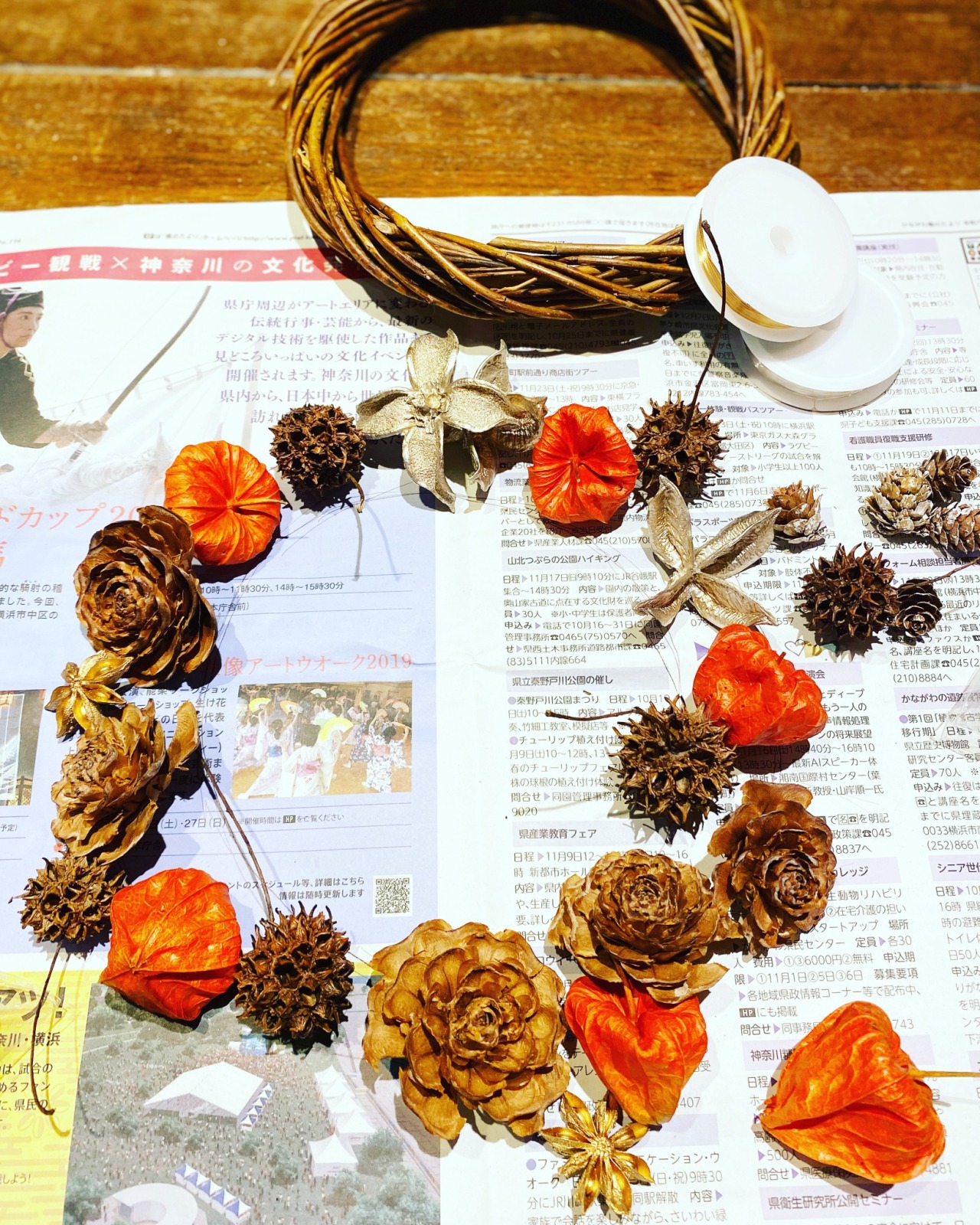 Colors シダーローズという薔薇の花みたいな形をしたヒマラヤ杉の松ぼっくり いや 杉だから松ぼっくりではないの Colors シダーローズという薔薇の花みたいな形をしたヒマラヤ杉の松ぼっくり いや 杉だから松ぼっくりではないの