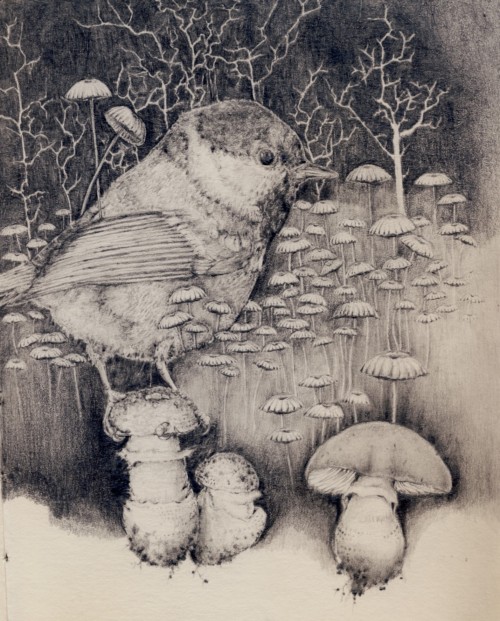 Sketch of a bird, within a troop of Fungi and the dark beyond.Graphite