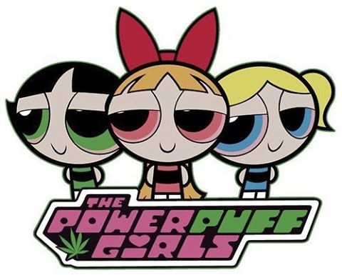 PowerPot Girls ☁☁#HappyStoneySunday  #powerpuffgirl #stoneysundaycannapeople #stonergirl #cannabisco