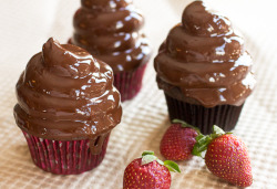 thecakebar:  Chocolate Covered Strawberry