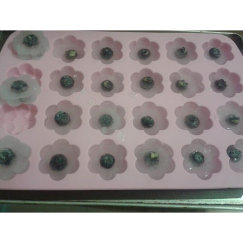 Blueberry flower icecubes.