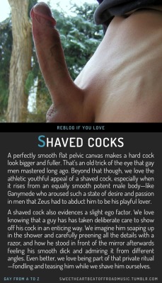 razoruniverse:  shavedstgo64:  shaver7:  luvsocal4:  randy9bis:onlyshavedstuff:sweetheartbeatoffroadmusic:  SHAVED COCKS. More in this series: Gay From A to Z or view the full alphabetical index or check out my blog. Image source here.  Only Shaved