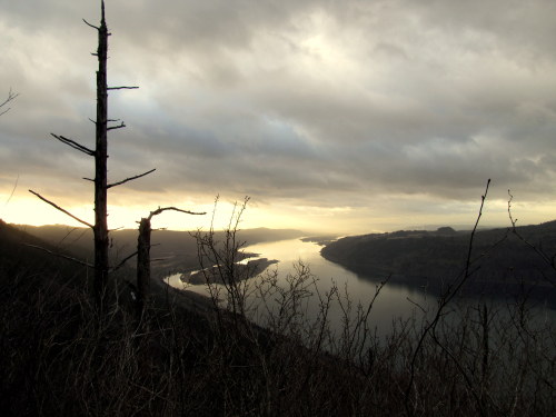  Angel’s Rest, Oregon January,  2014 