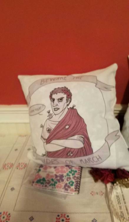 Pillows for my seniors. Last four, with awesome covers. Pillows made by me, covers not so much, haha