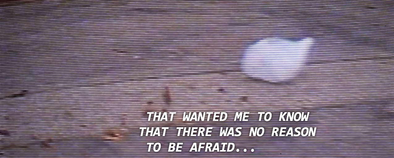 cactuseeds:  American Beauty (1999)