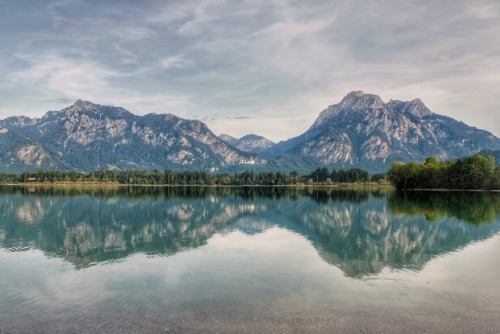 hansekind:Forggensee Beautiful landscape in Bavaria with the castle Neuschwanstein in the back.