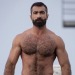 bruce66stuff:masculinitydefinition::Http://masculinitydefinition.tumblr.comHot bearded  and furry  men 
