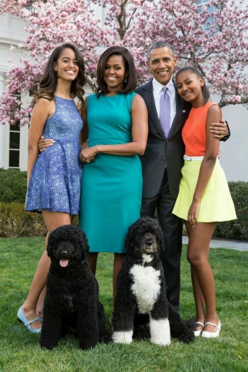 michelleobamarocks:  Obama Family 😍😱😱 adult photos