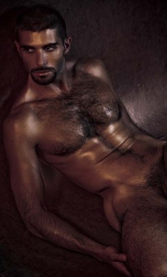 furrypty:  This is not a porn blog, but a celebration of Male Beauty. Follow me at http://furrypty.tumblr.com/  