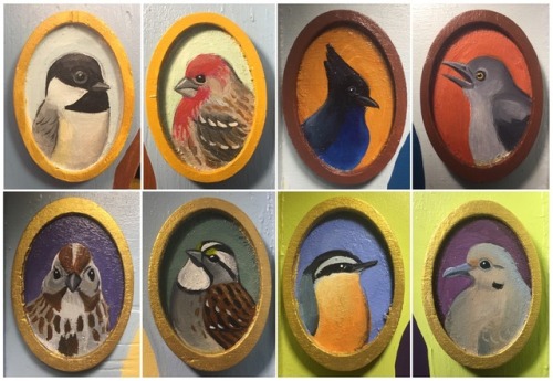 jadafitch:Tiny bird portraits from newest bird homes.