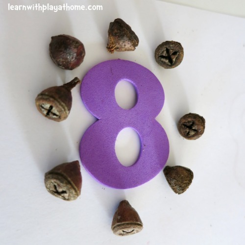 “An Invitation to Play and Learn with Numbers and Natural Materials”Things you’l