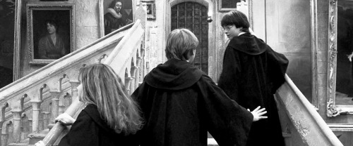 lilypottar:  “He knew that Ron and Hermione were more shocked than they were letting on, but the mere fact that they were still there on either side of him, speaking bracing words of comfort, not shrinking from him as though he were contaminated