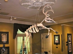 horrorandhalloween:  Christmas decorating done right :) 