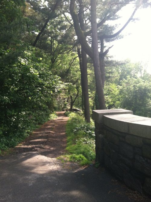 this way to wonderlandMay 2012-Fort Tryon Park