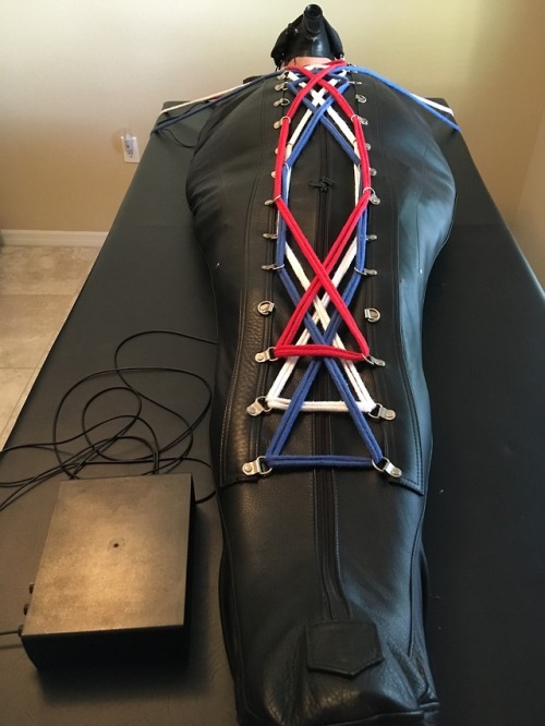 March 2019: First three are shots of my buddy in his leather sleepsack.  He is being electrified wit