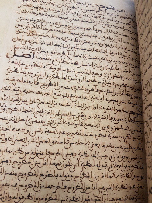 LJS 481 -[Ḥaṭṭ al-niqāb ʻan wujūh aʻmāl al-ḥisāb]This manuscript features a commentary on th