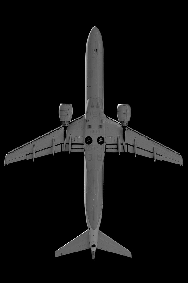 Eyes to the Skies