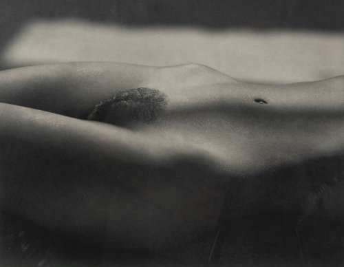 oldalbum:  Malcolm Pasley - Nude #15