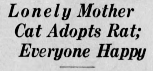 yesterdaysprint:The Winnipeg Tribune, Manitoba, October 6, 1933&lsquo;Everyone happy&rsquo;