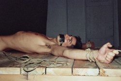 bound-indulgence:  Just the way I like them :) http://bound-indulgence.tumblr.com/ 