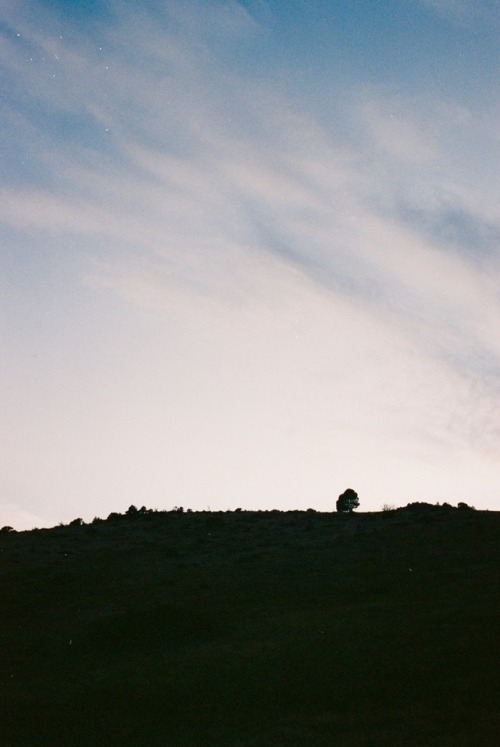 Sunset at Red Rocks Park, DenverShot on 35mm Kodak Portra 400 Film