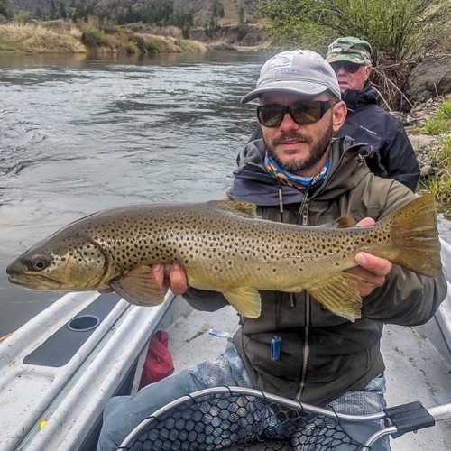 @stinkystanko striking gold this past week. May in Montana is a special time! #flyfishingmontana #fl