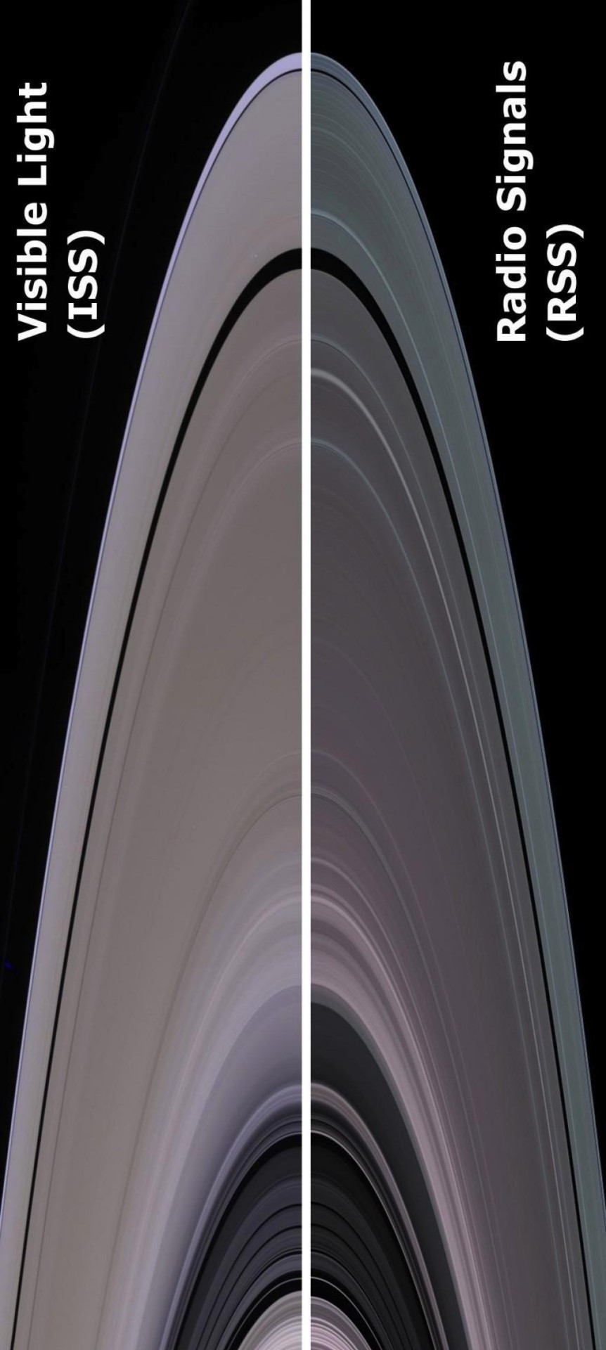 NASA’s Cassini Reveals The Full Glory Of Saturn’s Rings