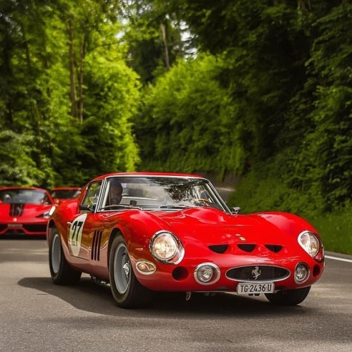 gentlemanracedriver:Ferrari 330 GTO